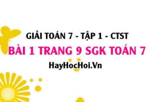 Giải bài 1 trang 9 Toán 7 Tập 1 SGK Chân trời sáng tạo